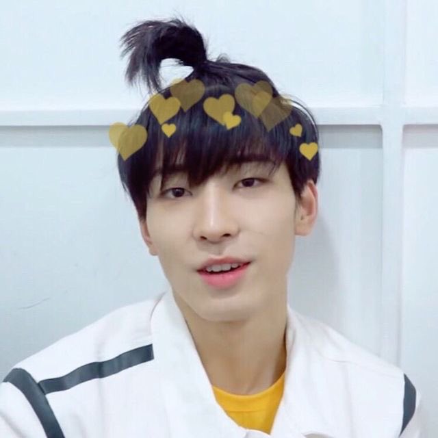 Wonwoo comfort picsa thread;