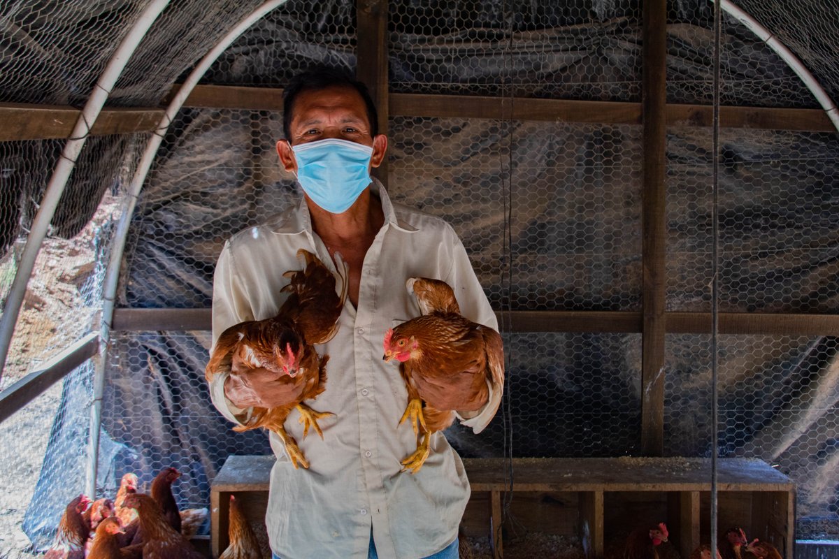 #backyardchickens aren't just for hipsters! With chickadees produce up to 250 eggs/wk, these 🥚egg-cellent🥚 ventures create income and improve #nutrition.... omelette anyone?! 🍳🐓 #sustainabledevelopment #cooptroop