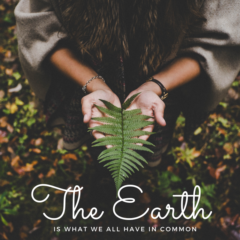 GoWoodInc's tweet photo. 'The earth is what we all have in common'. 

We love this quote as it reminds us that every action we take to protect Mother Nature is important. 

At GoWood, we try our utmost best to reduce plastic waste and offer high quality products made with natural resources: wood. #gowood https://t.co/Lb5En8GvAa