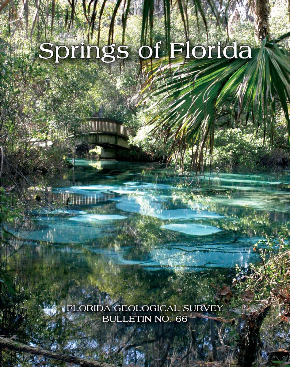 UFLIBDigital tweet media