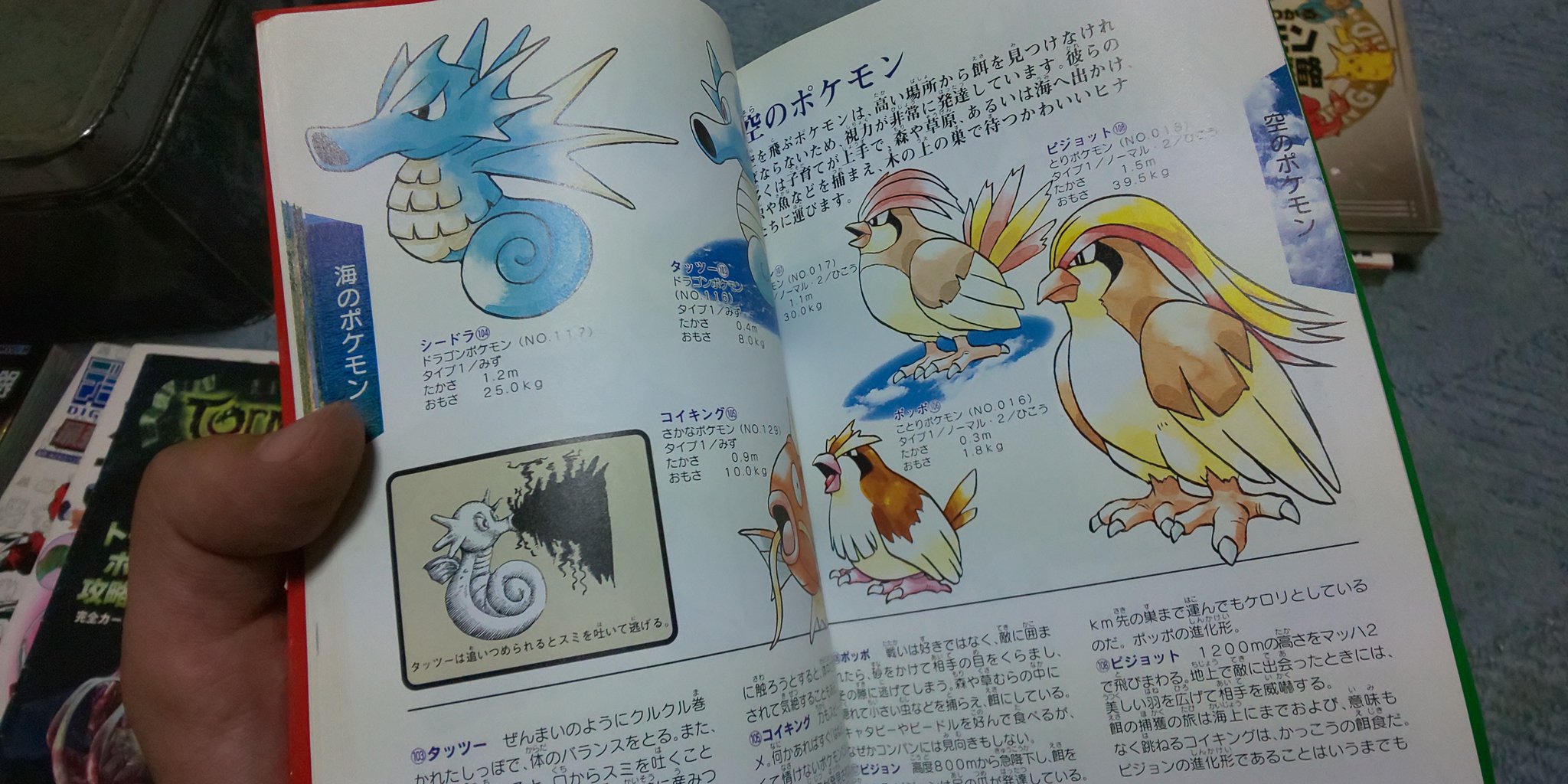 特攻蝶dimwryon 升メディア ファミ通の ポケットモンスター図鑑 攻略本というよりマジで図鑑を目指してるのが好き 巻末から始まる開発インタビューが本編 ポケモン好きと繋がりたい T Co Dheo5nrpue Twitter