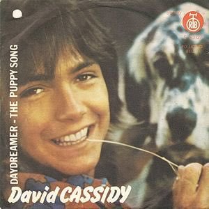 espofootball's tweet photo. #OTD Oct21,1973 #DavidCassidy starts a 3wk run at #1 on the UK singles chart with his double A side 45 "Daydreamer / The Puppy Song"; Cassidy's 2nd and last UK #1. Daydreamer written by #TerryDempsey and The Puppy Song written by #HarryNilsson https://t.co/0KI8RMyNWB