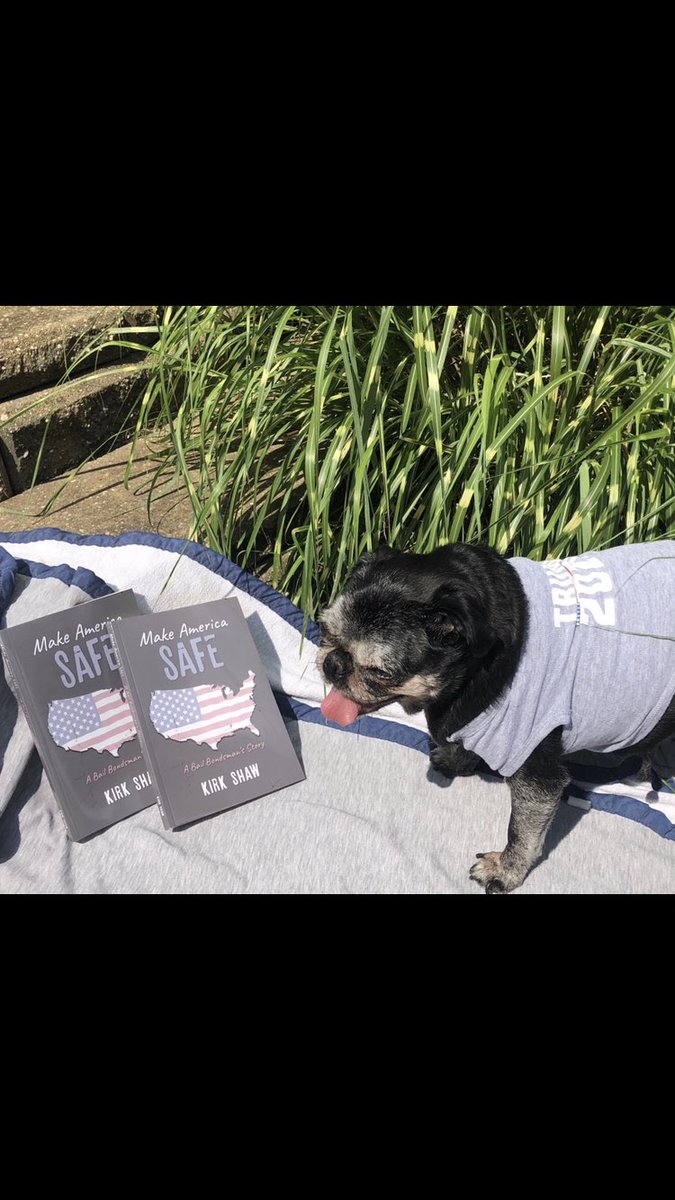 ShawBailBonds's tweet photo. Make America safe book on amazon liked by all pugs https://t.co/z5qLqz1c4D