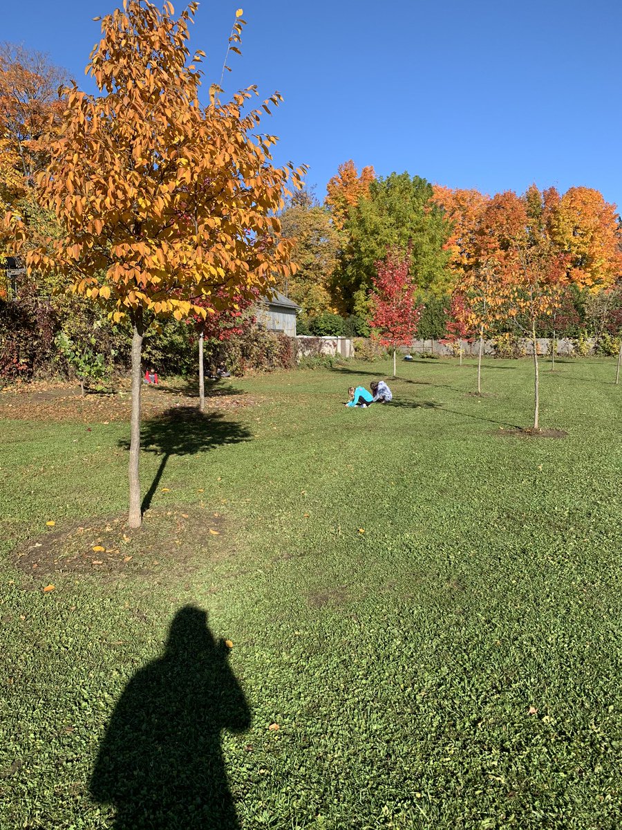 mrshickey12's tweet photo. 4/5B is loving spending our mornings outside working on our descriptive writing. We are noticing more and more about what is in our yard and our descriptive paragraphs are really improving ! @margaret_ps https://t.co/E2R8MZza0C