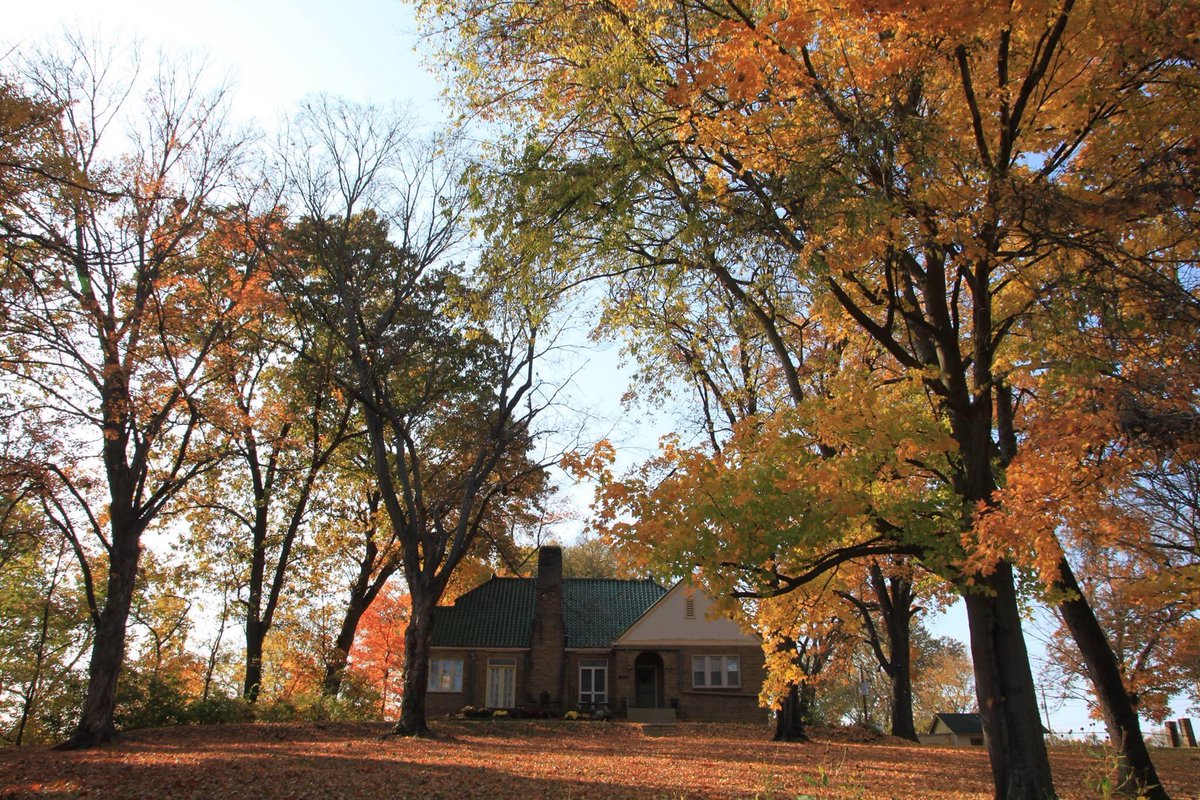 goolander91's tweet photo. Autumn is absolutely beautiful. #kimmswick #missouri #stcharles Leaves falling, wine calling! π· π #stlouis #stl St. Louis #stlgram #stlouisgram #stlouiscity #stlcountyparks #stlouiscounty https://t.co/cDrk976NdE