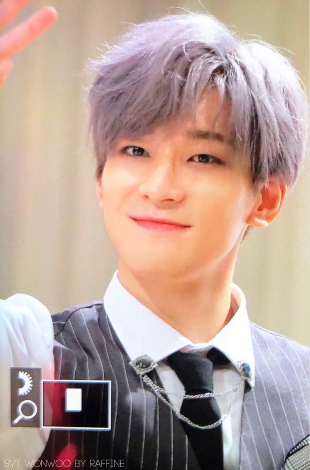 Wonwoo comfort picsa thread;