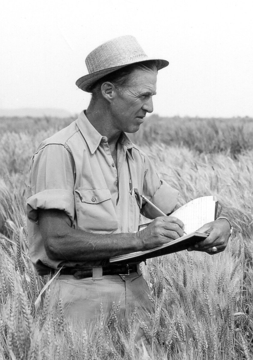Today on #WorldFoodDay, we remember and celebrate Norman Borlaug, #TAMU Distinguished Professor &amp; Nobel Peace Prize recipient, for dedicating his life to feeding the world.

It's estimated that his work in agronomy saved more than a billion lives! 🌾