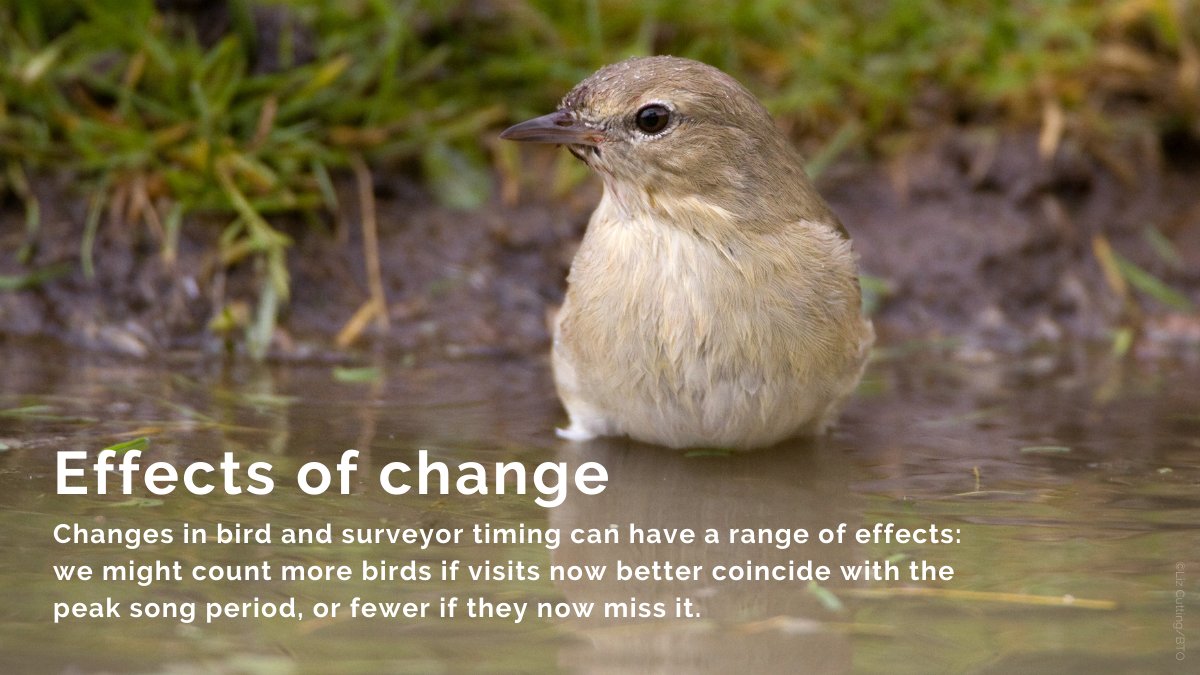 Changes in species’ timings alone were shown to be capable of inducing apparent changes in population trends. Similar effects were found if survey timings changed. The effects varied for different species’.  #BTOScience