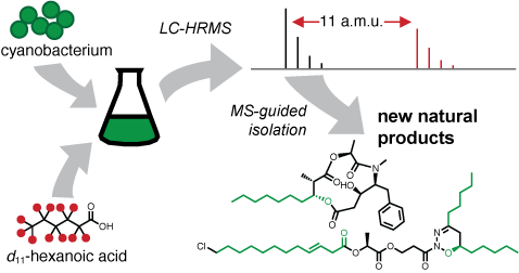 Leão Lab - CIIMAR (U.Porto) tweet media