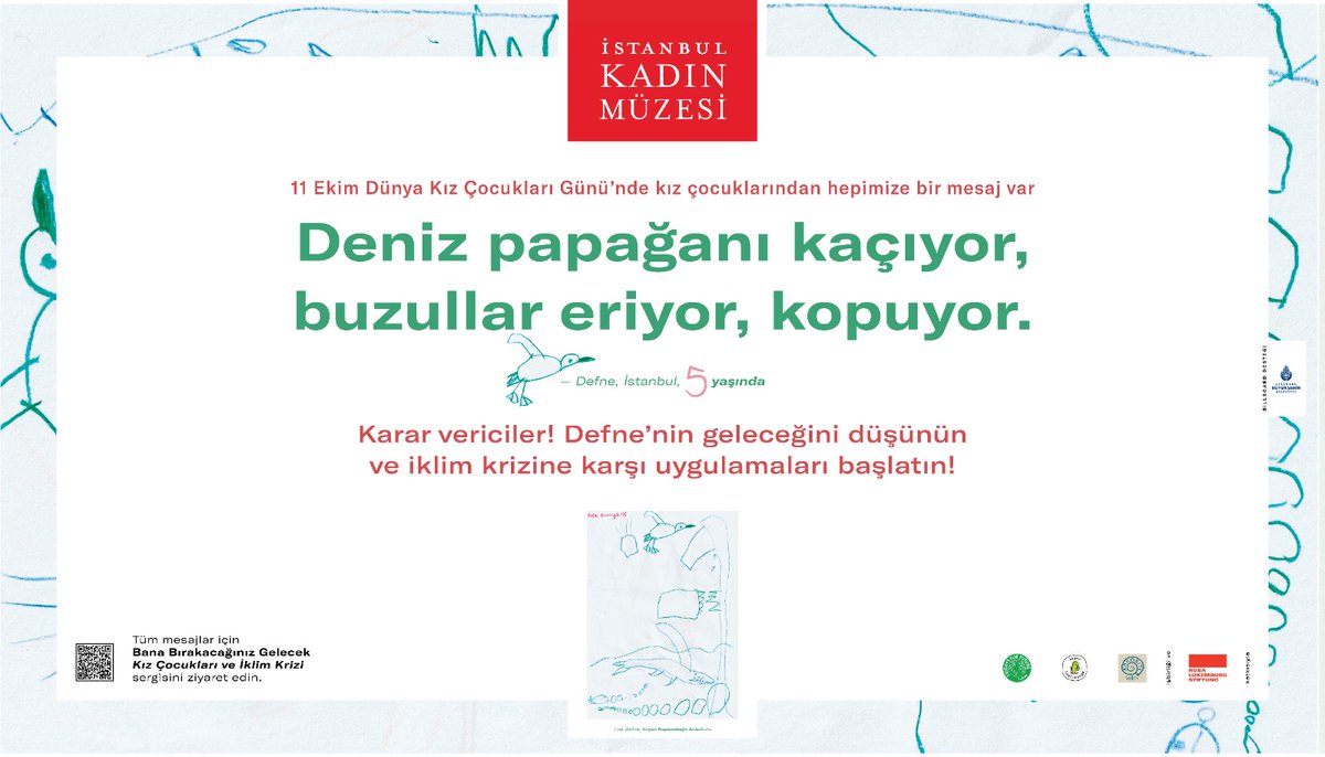 Koşan Kaplumbağa tweet media