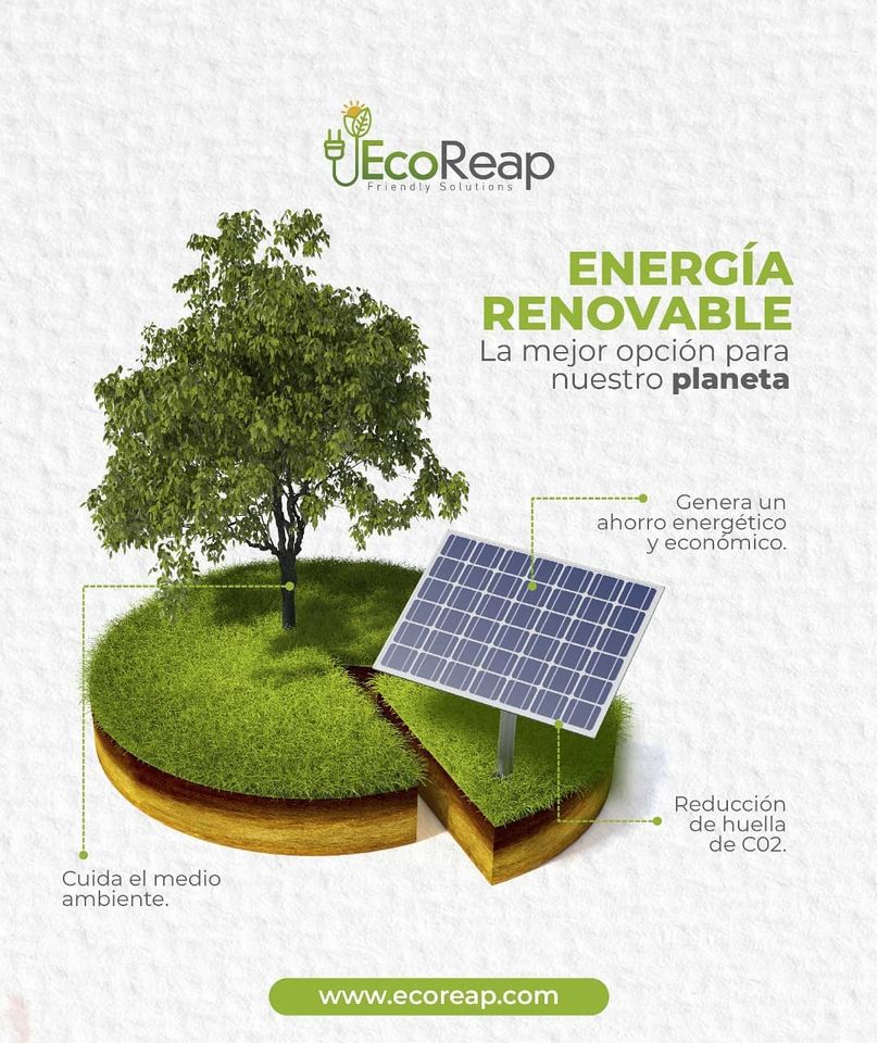 Eco Reap SAS tweet media