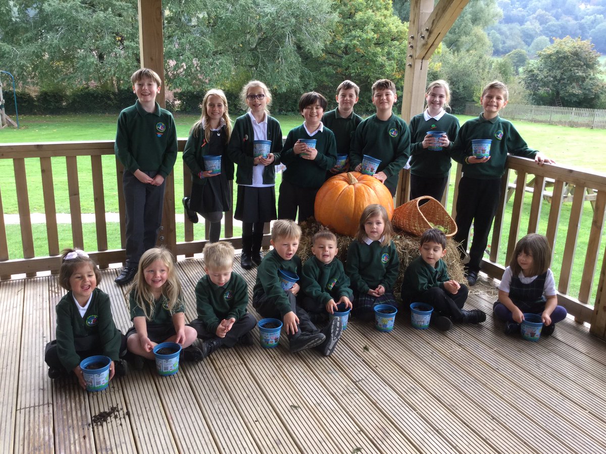 Walford Nursery & Primary School tweet media