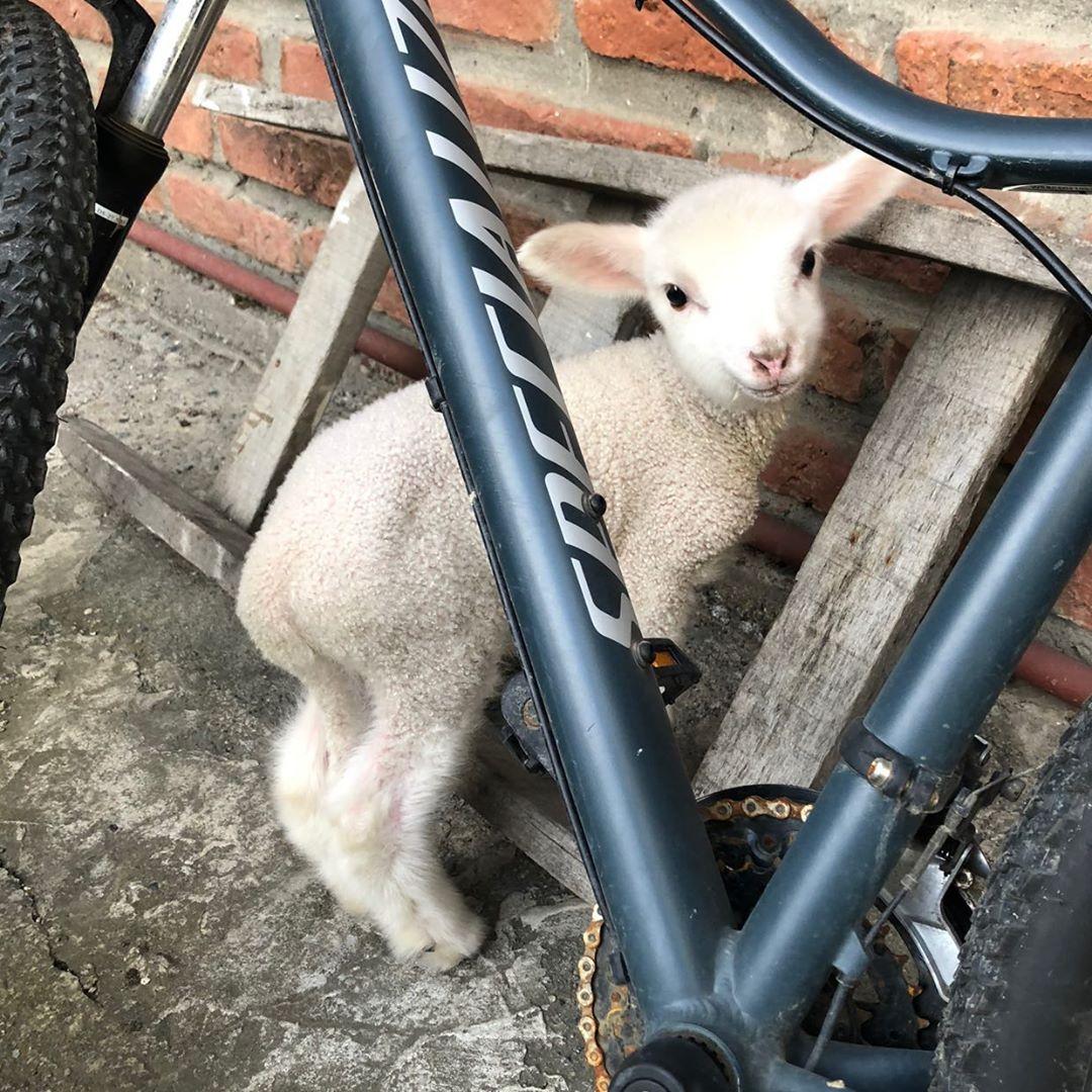 Freddy Asenjo tweet media