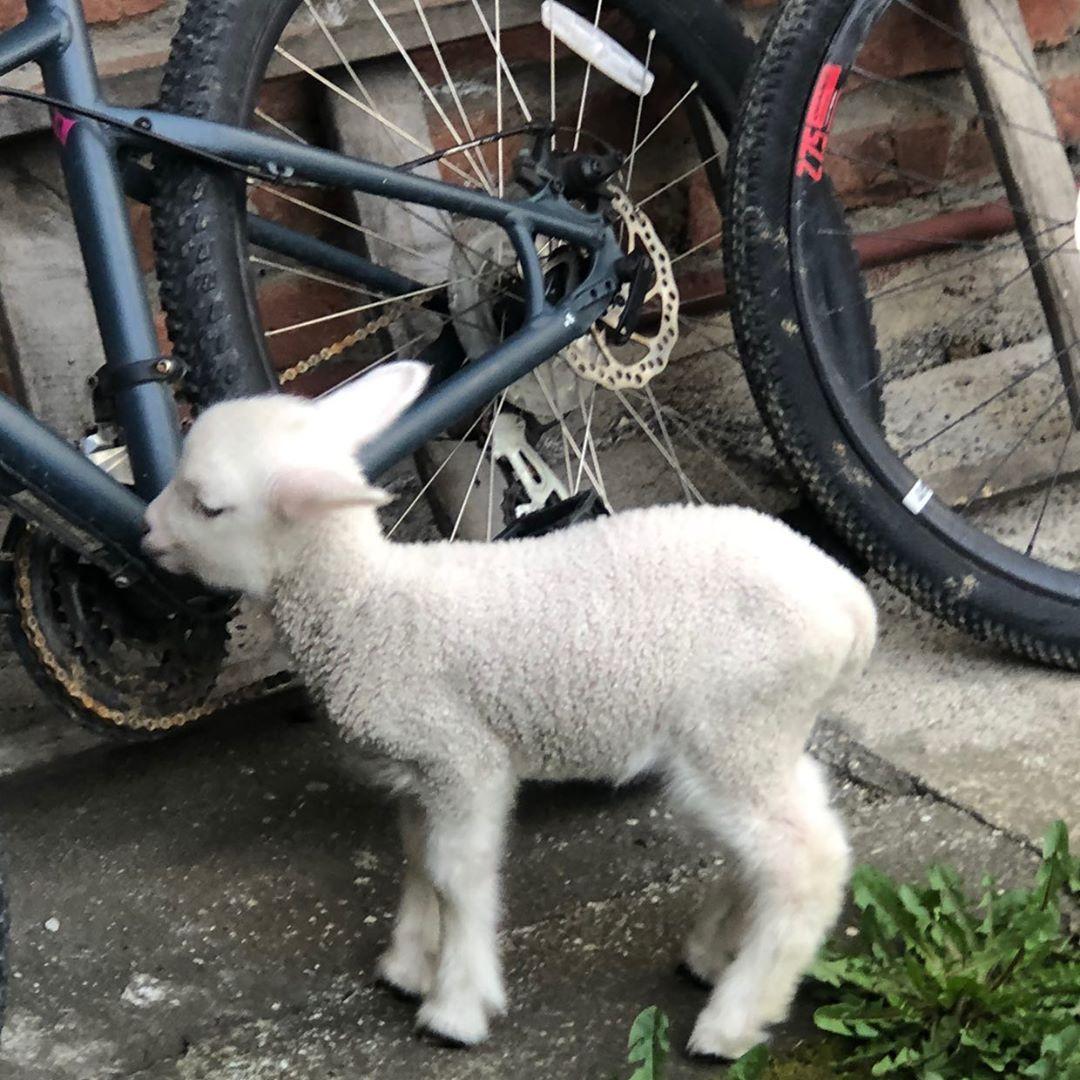 Freddy Asenjo tweet media