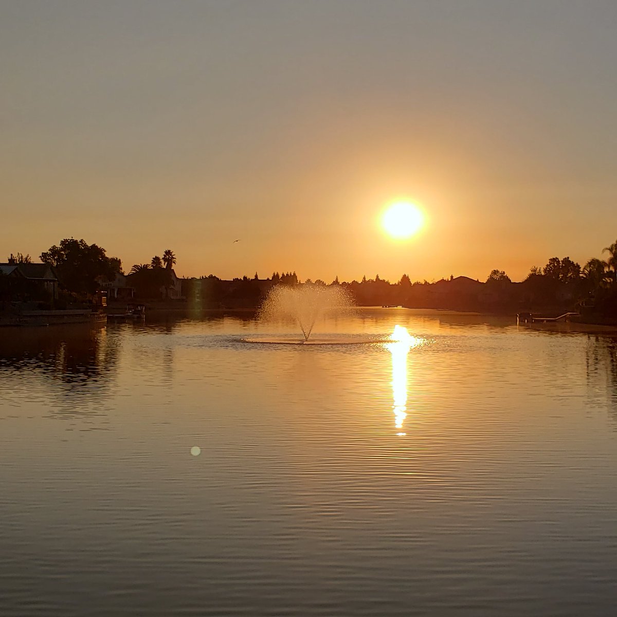 johnbartle's tweet photo. #sunrise #Sacramento #Natomas #SundanceLake #LOL #airquotes #lake https://t.co/slK71jepff