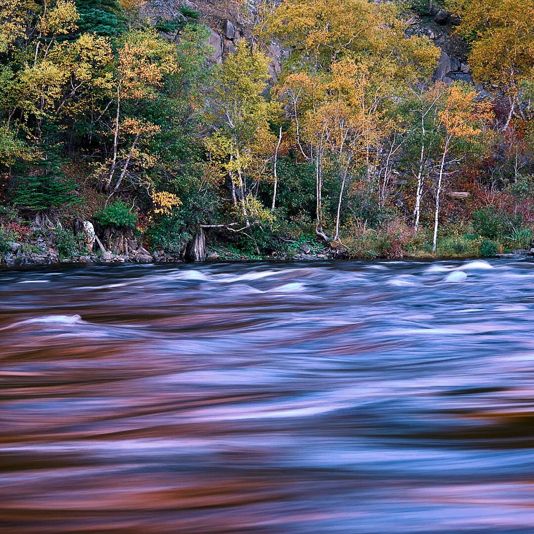 The colours are really coming to life on the Humber River in Western Newfoundland! 
#fallcolour #fallcolor #westernnewfoundland #fujifilm #xt30 #xf1680
