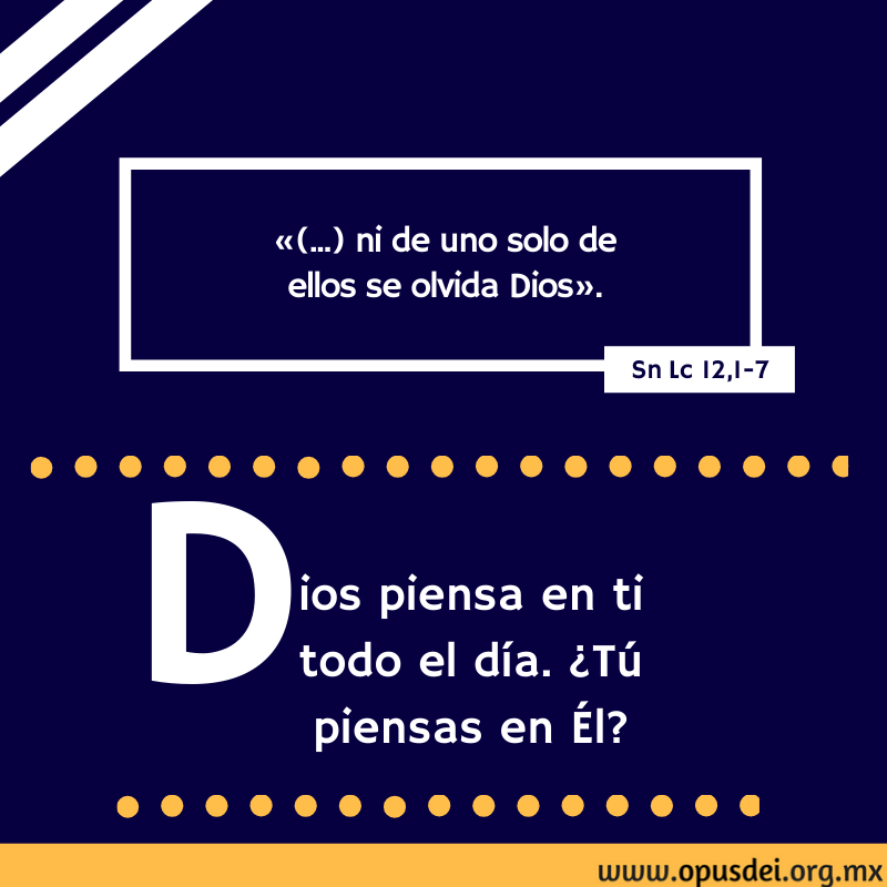 opusdeimx's tweet photo. Evangelio del día. https://t.co/38TvnUrrkP