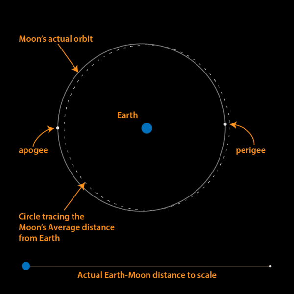 earthskyscience's tweet photo. Year's closest new moon today 🌑

The moon comes closest today for the year 2020 - 221,797 miles (356,948 km) from Earth. Click here to read more about why this is the closest new moon for this year: https://t.co/xpYKqgqzzt

📸 Brian Koberlein. https://t.co/m31FXn0a3h