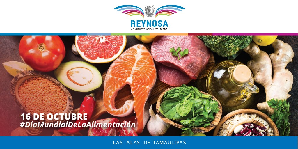 El Día Mundial de la Alimentación se celebra el 16 de octubre de cada año con la finalidad de concientizar sobre el problema alimentario mundial y fortalecer la solidaridad en la lucha contra el hambre y la desnutrición.