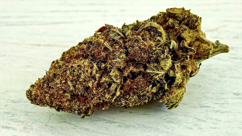 ¡Por fin viernes! Disfruta del finde con la mejor calidad de CBD, disfruta junto a nuestra variedad Hidropónica DIANTHE.
Disfruta con MANNÁ
Visita mannastore.es o escríbenos 📩 para hacer tu pedido
#Disfrútate #CBD