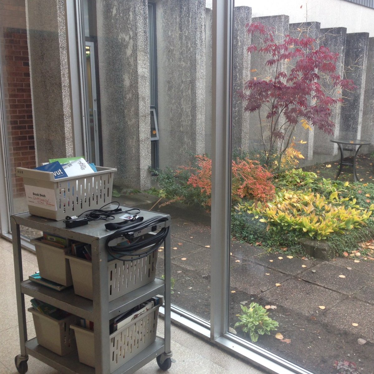 MissHawleyReads's tweet photo. I'm #ocsbThankful for this beautiful outdoor space beside the #LearningCommons @TDMcGeeOCSB. Today I got to roll past it with the #LCBookDelivery cart. #DareToCare #GratitudeChallenge https://t.co/MRqgNZmkBE