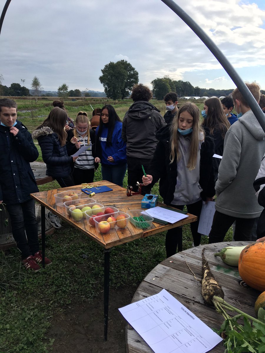 d_arcet's tweet photo. #visite a la @cueillette de l’Aragnon des 2nd bac pro Hôtellerie restauration # développement durable# produits locaux #circuit court#produits de saison# réseau territoire # saison et bio https://t.co/FwMmwZu6xd