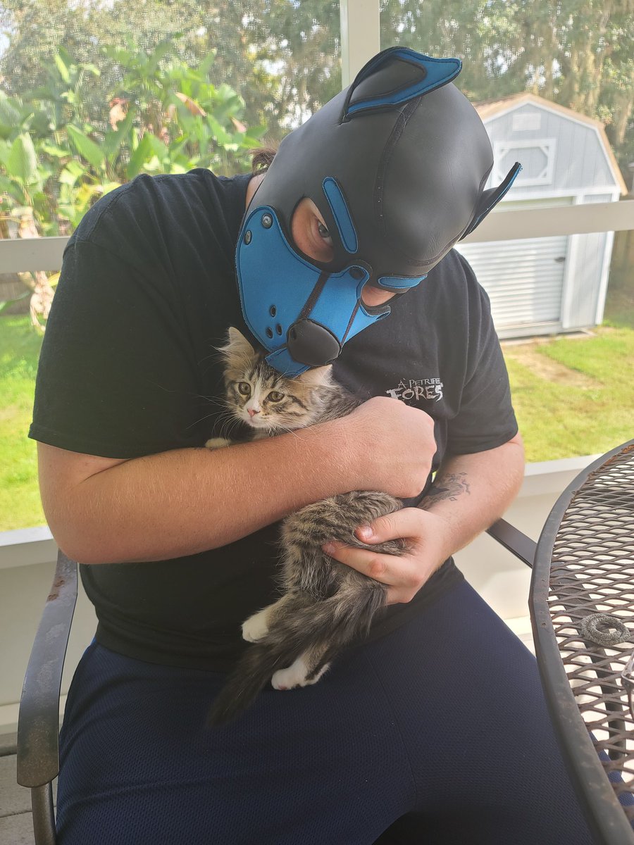 AlphaPupSalazar's tweet photo. This pup loves everyone! Even kittens!
.
.
.
.
.
.
.
.
#pupplay #puppyplay #puppykink #puptwitter #Stitch https://t.co/wFggbXpyJD