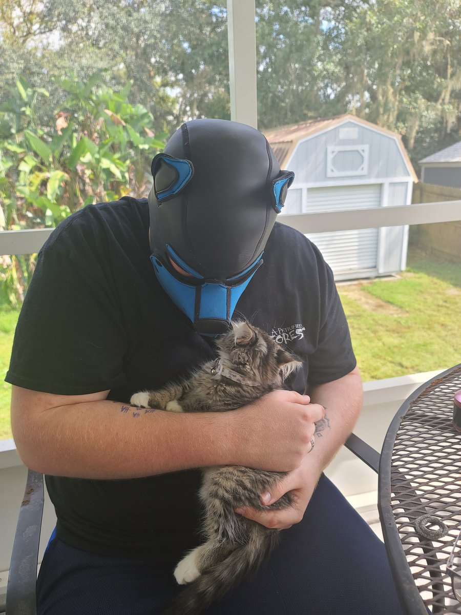 AlphaPupSalazar's tweet photo. This pup loves everyone! Even kittens!
.
.
.
.
.
.
.
.
#pupplay #puppyplay #puppykink #puptwitter #Stitch https://t.co/wFggbXpyJD