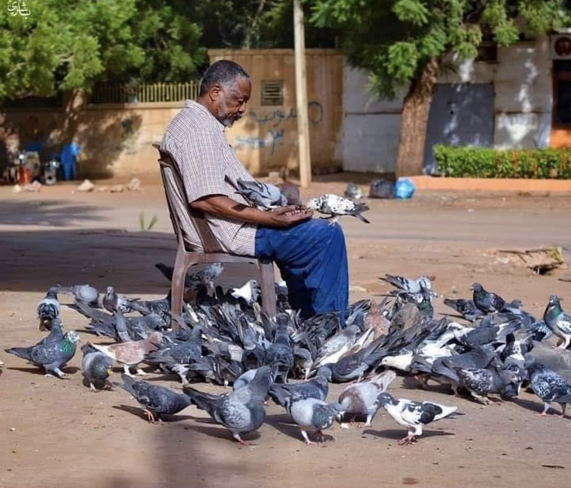 abdalrahman_shz's tweet photo. ما لقيت تعليق للصورة أبداً لكن صورة حنينة وجميلة للغاية🕊❤️ https://t.co/4I4PTOCkGI
