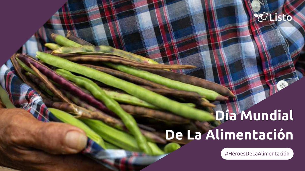 ¡Exaltamos la labor de nuestros #HéroesDeLaAlimentación en el #DíaMundialDeLaAlimentación! Los agricultores producen el 80% de los alimentos mundiales, su trabajo garantiza el abastecimiento constante de comida y favorece la seguridad alimentaria de las comunidades.
 #Gracias