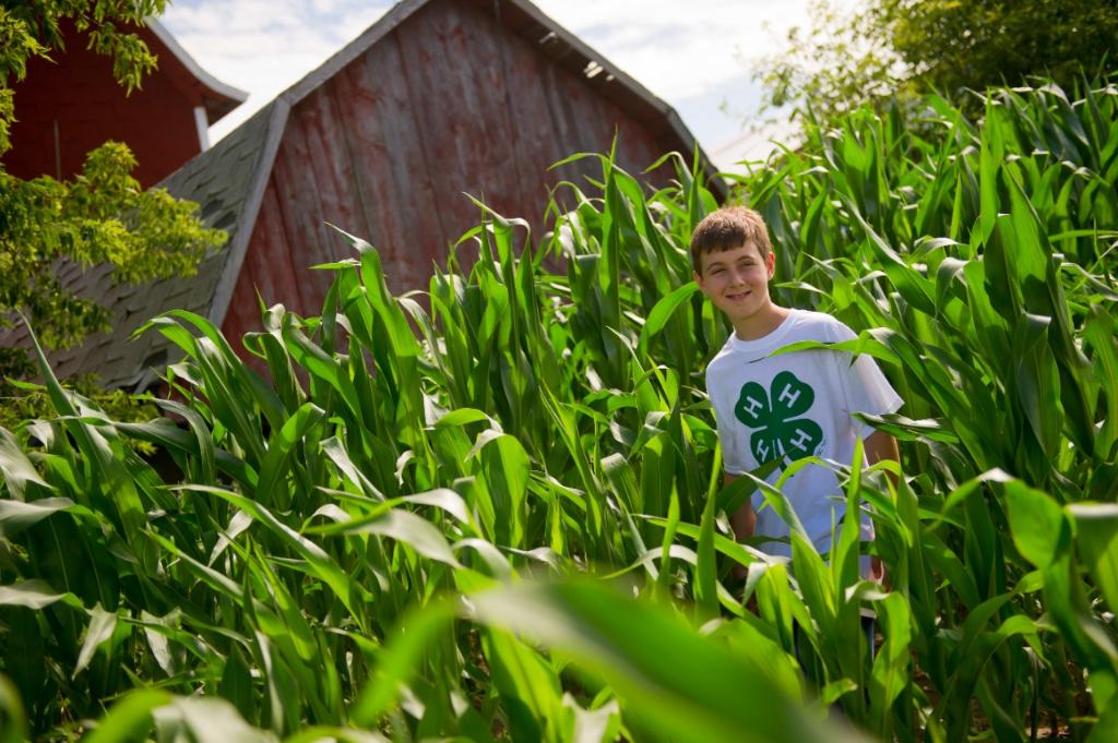 Tractor Supply tweet media