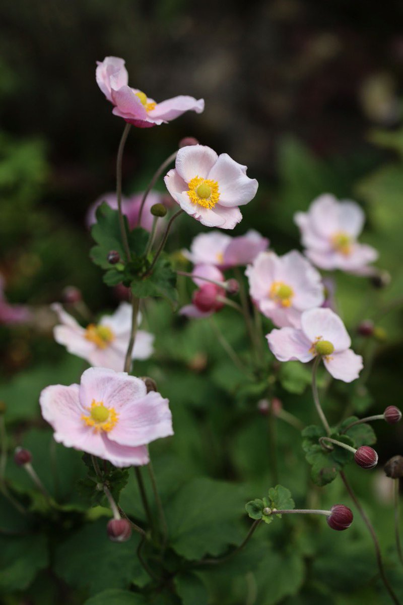 Un Brin Naturel tweet media