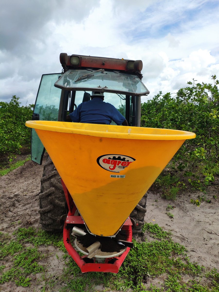 antonio_microUF's tweet photo. Third #compost application in our compost + #covercrops trial. #Teamwork! Thanks to the #SWFREC farm crew for helping us today. #soilhealth #soilmicrobiology #Strausslab https://t.co/q34SokCAWt