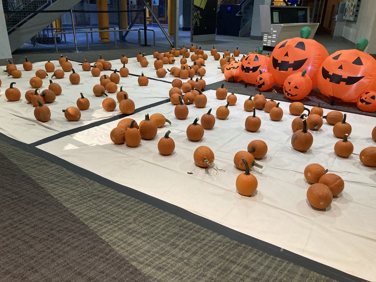 Our team has been hard at work all week setting up the Pumpkin Patch! 🎃 Follow the trail and it'll lead you to a glorious pumpkin party where you can select and take home your very own pumpkin.