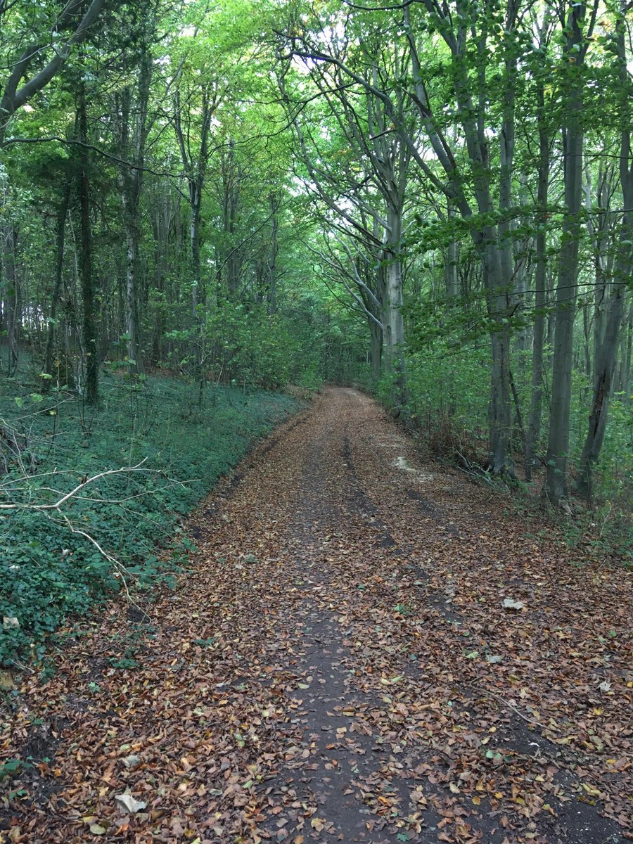 This is at friston forest. Beautiful morning’s run through the woods. when I first started running I would only run with others. I was afraid to run on my own as I thought I couldn’t do it. I no longer have that fear. Feeling so lucky to live where I live.😊❤️