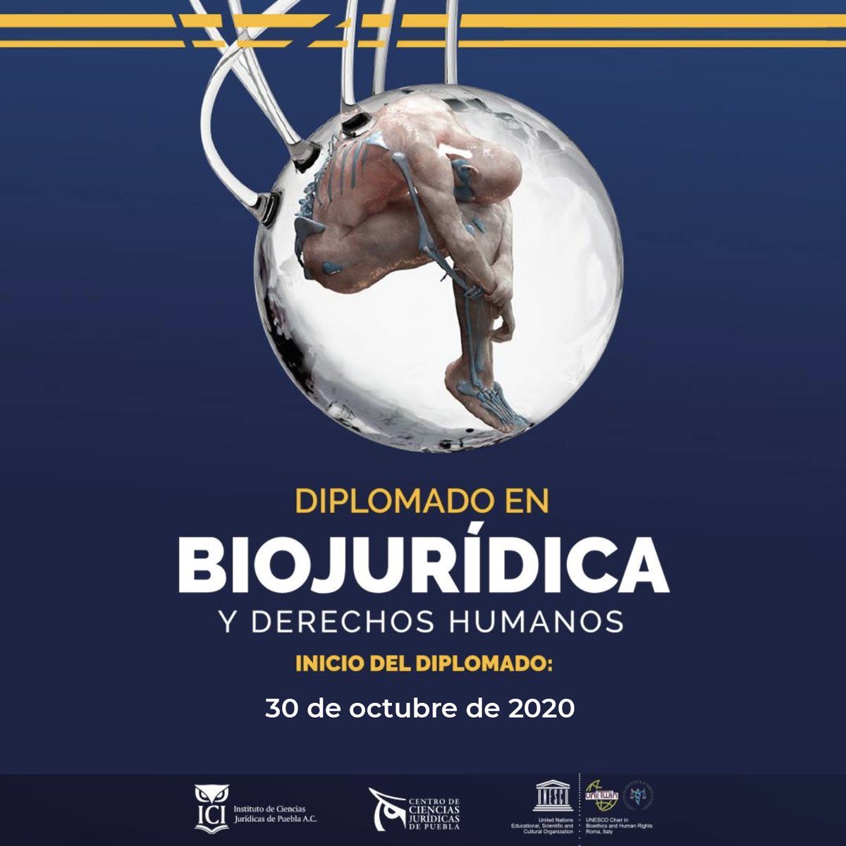 CCJP_Puebla's tweet photo. 👉🏼Este 30 de octubre da inicio nuestro diplomado en “Biojurídica y Derechos Humanos”.

Checa costos y requisitos en nuestra página web:
https://t.co/GPjS12ceCJ

🚨INFORMES: Dr. Jesús Muñoz Castellanos Coordinador Académico del CCJP correo: coordinacionmaestrias@icipuebla.edu.mx https://t.co/CFPt0oCkS0