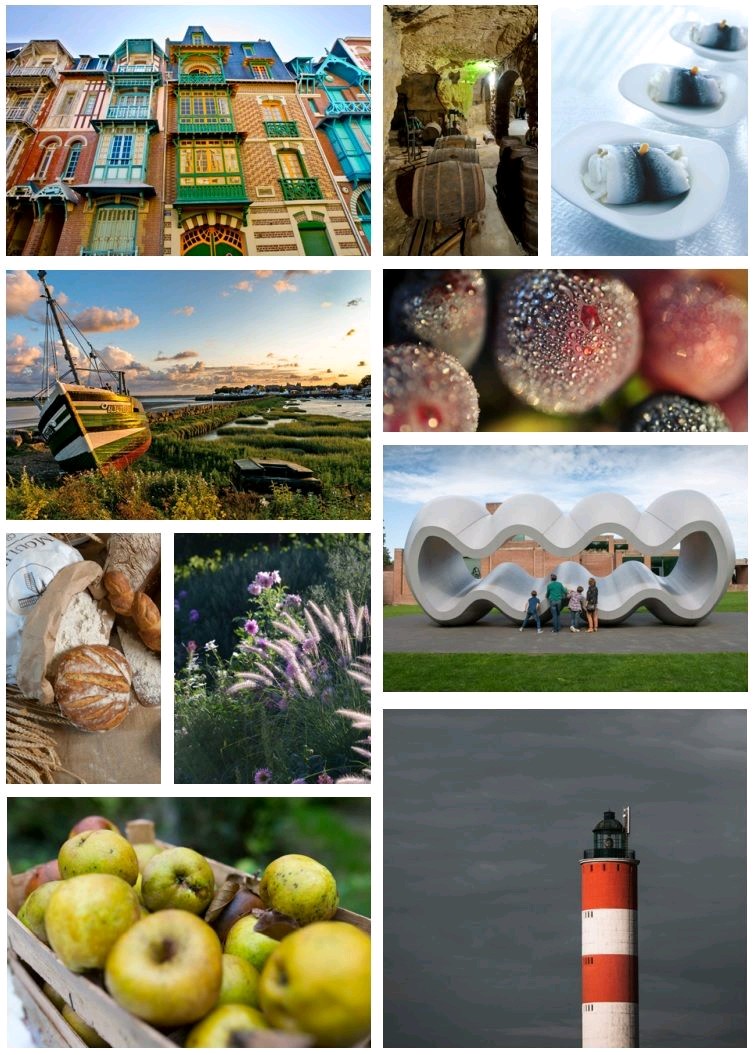 hdftourismepro's tweet photo. Les #HautsdeFrance recommandés comme "région européenne de la #gastronomie" en 2023, après la tournée du jury de l'@IGCAT2 👏 !!!
Encore quelques efforts pour décrocher #Hautetfort ce label 💪 !
@campustihdf @CMA_HdF @compromNPdC @CCI_hdf @umih_npdc @UniLaSalle_fr @eurakom https://t.co/uJntDDHRgq