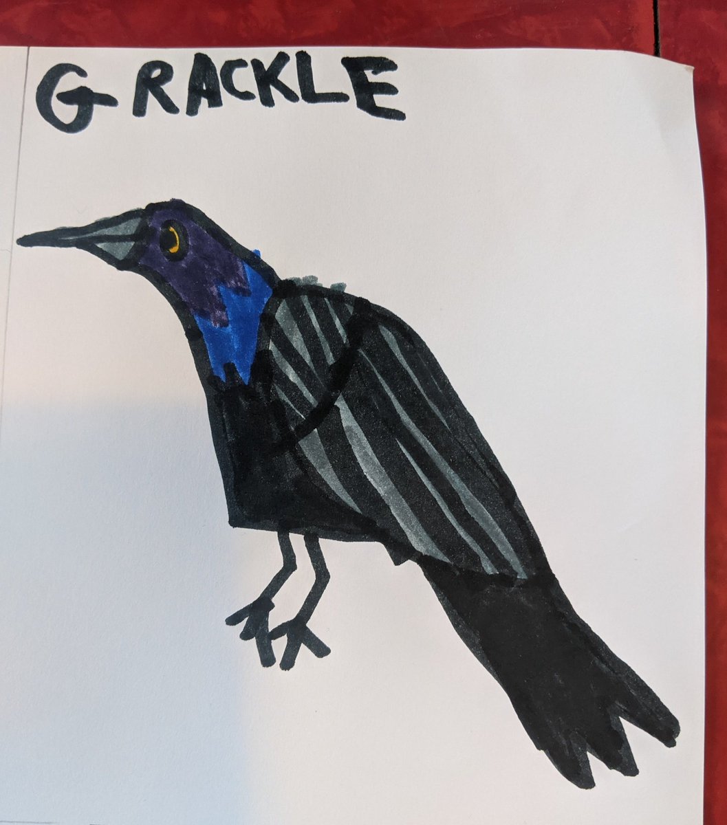 This grackle is one of my fav things he's drawn