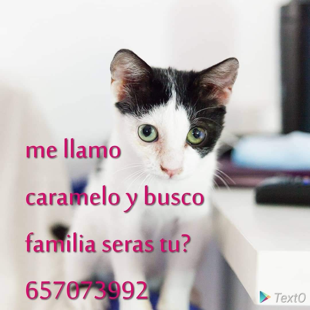 Serás tú???
😻😻😻