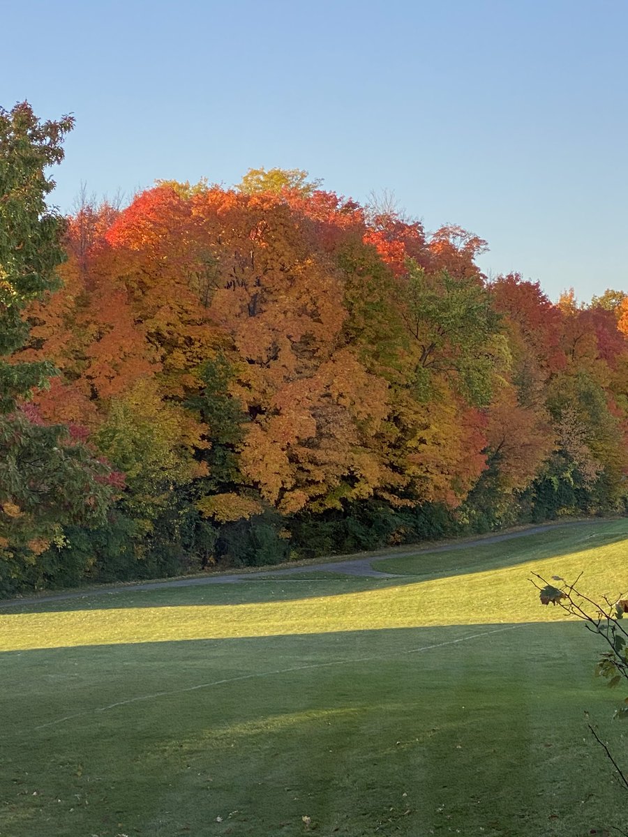 MrsDidocha's tweet photo. THS has some spectacular views 🍁 https://t.co/cMOgXlbAkc