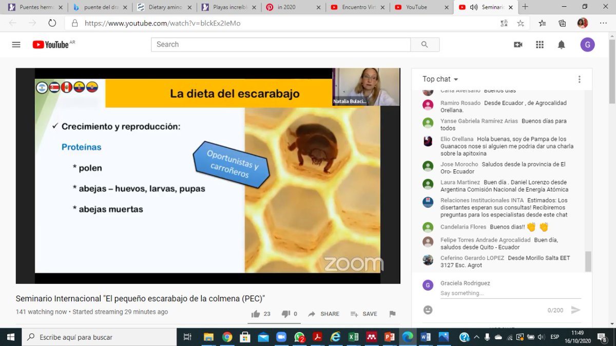 INTAProapi's tweet photo. #Capacitación: La investigadora del @INTAProapi  Natalia Bulacio Cagnolo en el  Seminario Internacional "Pequeño escarabajo de la colmena #PEC" disertando sobre la distribución, identificación y ciclo de vida del #PEC https://t.co/4tANu4XrZ2
