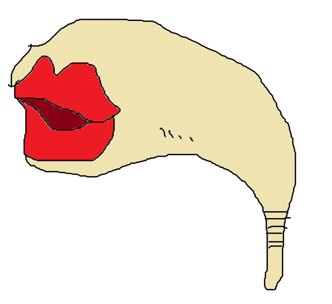 毛虫のtwitterイラスト検索結果 毛虫のtwitterイラスト検索結果