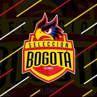 Primero que todo debo dar agradecimiento a la organización por realizar dicha, competencia que me parece sin duda una competencia 10/10 tanto en formato como en organización, y a la vez agradecer a mi capitán por dejarme ser parte de la selección Bogotá.