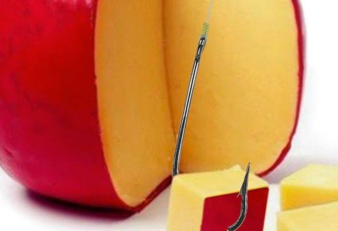 Catching #barbel over sometimes involves using some weird and wonderful concoctions, from lobworms to cheese, luncheon meat or even bananas!

Have you have had particular success with (or not!) when #barbelfishing? See here: medlarpress.com/news/?post=bai… to read more.

 #fishingbait