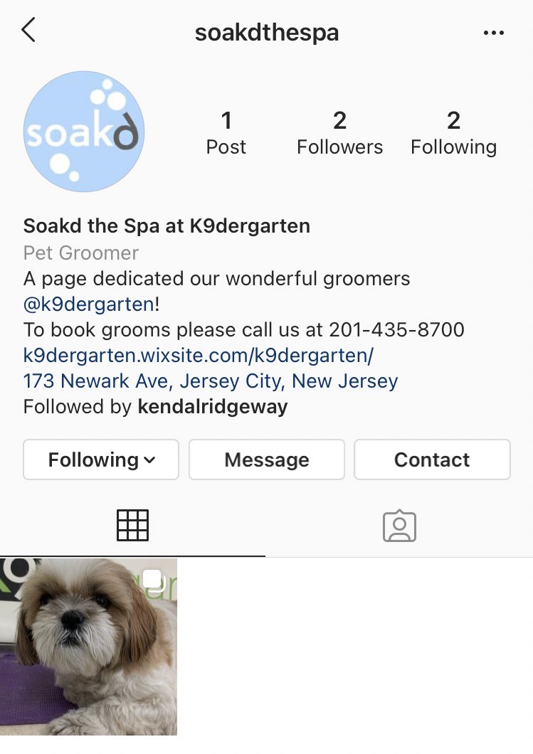 K9dergarten's tweet photo. We’ve made an Instagram for our wonderful groomers! Follow to see some adorable grooming before and afters! https://t.co/pFaI3Auw2L https://t.co/MRvwCMzlWE