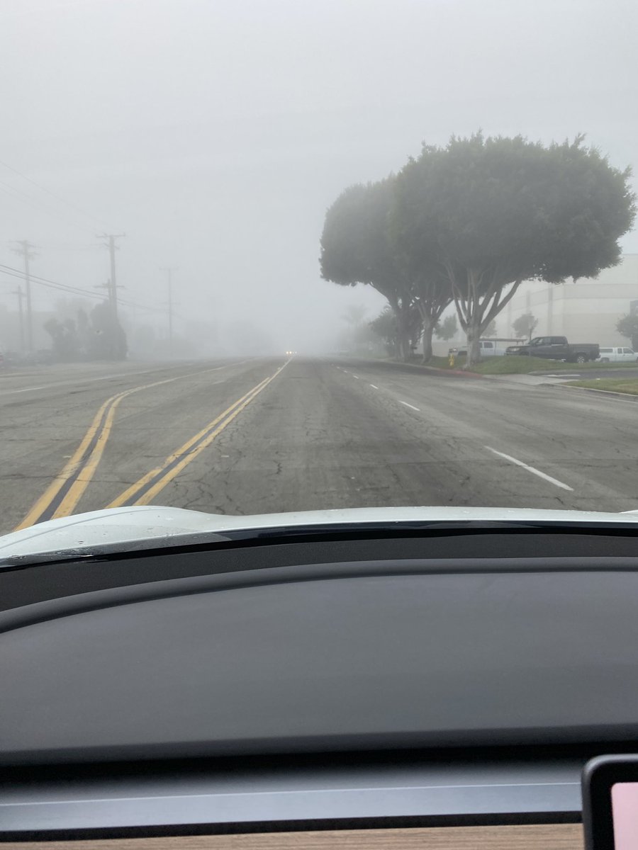dang8's tweet photo. @elonmusk @Tesla preferred/bought my 3 with the black interior and FSD, but would LOVE to add things like fog lights and some of the other interior lighting. #Model3 #teslalove https://t.co/ZWoDdUfesN
