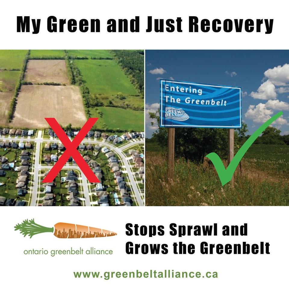 We Need Your Help to Stop Sprawl! Help us spread the word that green and just recovery that stops sprawl and grows the Greenbelt is possible!
TAKE ACTION NOW! greenbeltalliance.ca
#farmersfeedcities #WorldFoodDay #Ongreenbelt #ontariogreenbelt #protectendangeredspecies