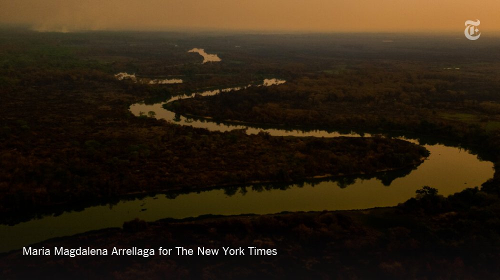 The wetland, which is larger than Greece, is one of the most biodiverse places on Earth. Its swamps, lagoons and tributaries purify water, help prevent floods and droughts, and also store untold amounts of carbon, helping to stabilize the climate.