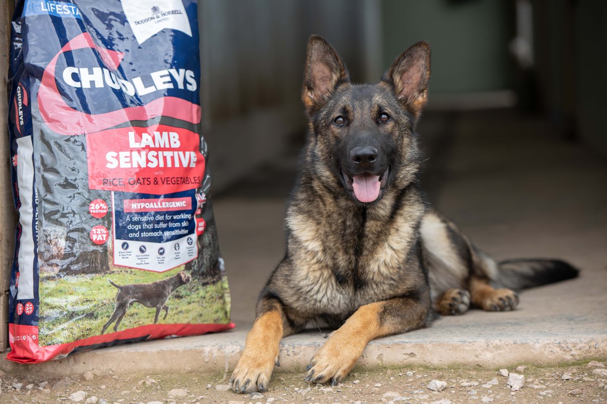 Chudleys tweet media