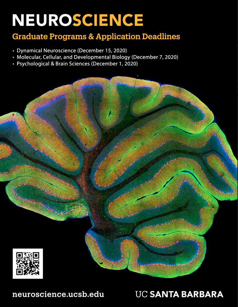 SpragueLabUCSB's tweet image. Come join us at UC Santa Barbara - lots of cool labs (including ours!), beautiful setting, but most importantly - amazing colleagues! Don't hesitate to get in touch if you'd like to discuss opportunities (spraguelab.psych.ucsb.edu)